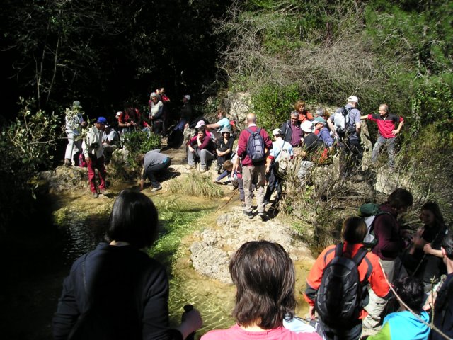 p1010081.jpg