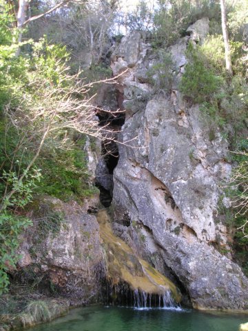 p1010083.jpg