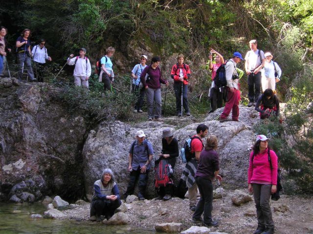 p1010087.jpg