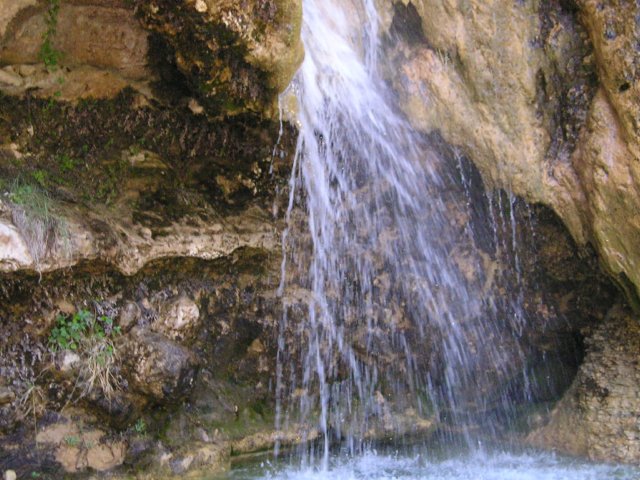 p1010088.jpg