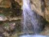p1010088_small.jpg