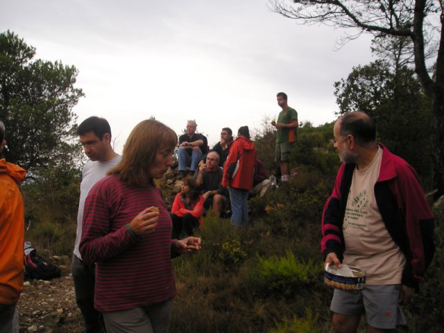 p1010351.jpg