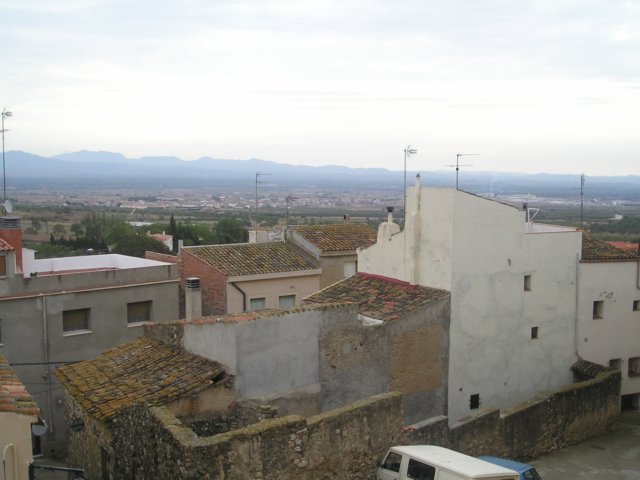 p1010353.jpg