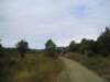 p1010356_small.jpg