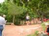 p1010025_small.jpg