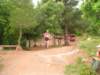 p1010033_small.jpg