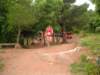 p1010051_small.jpg