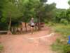 p1010059_small.jpg