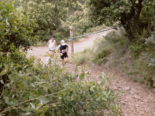foto0679.jpg