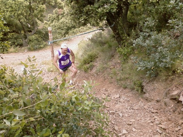 foto0697.jpg