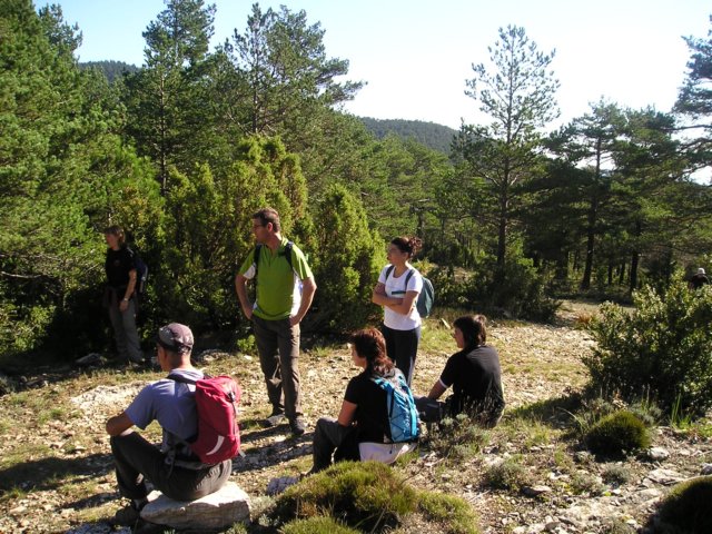 p1010008.jpg