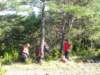 p1010009_small.jpg