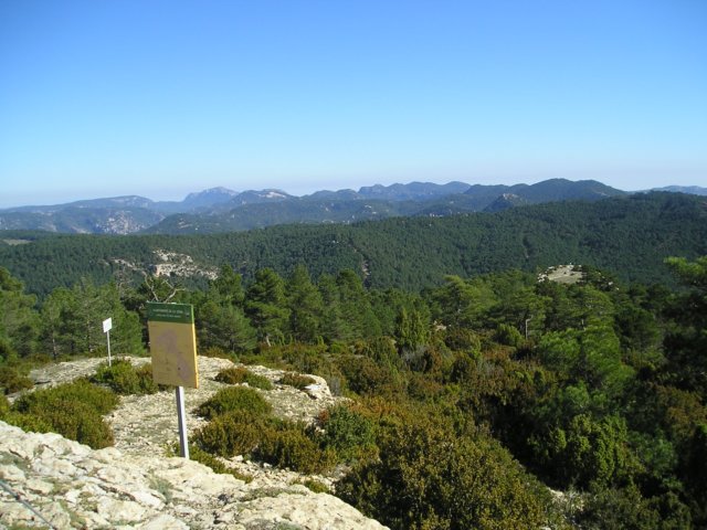 p1010014.jpg