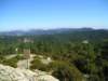 p1010014_small.jpg