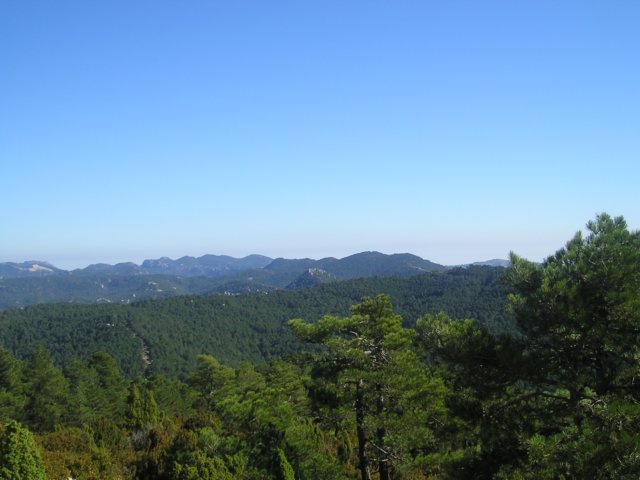 p1010016.jpg