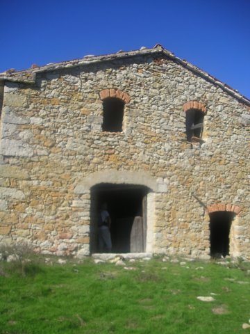p1010019.jpg