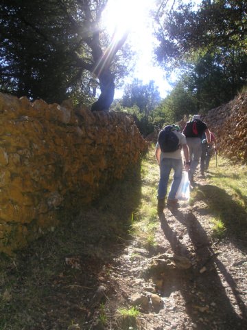 p1010020.jpg
