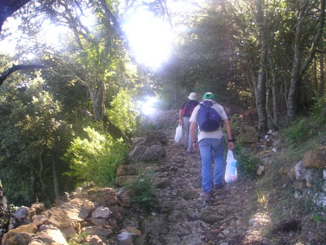 p1010023.jpg