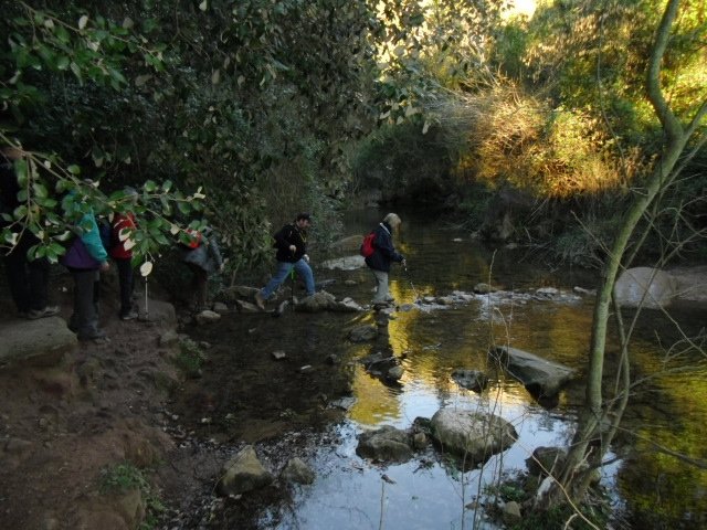 cimg0039.jpg