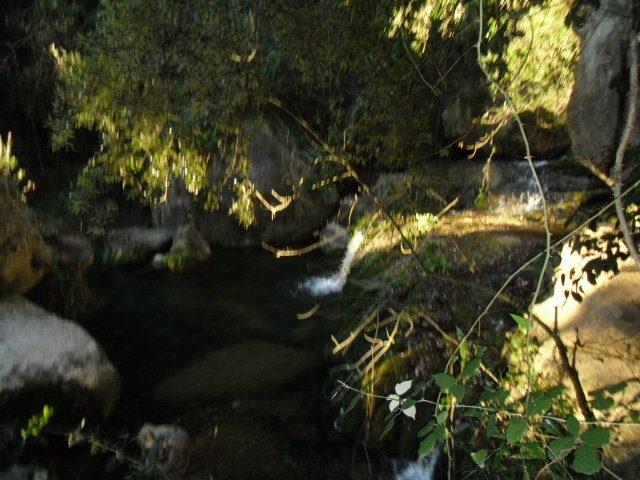 cimg0049.jpg