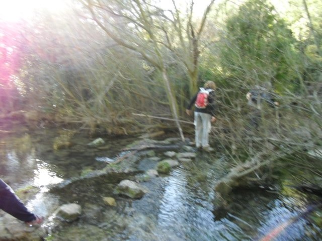 cimg0080.jpg