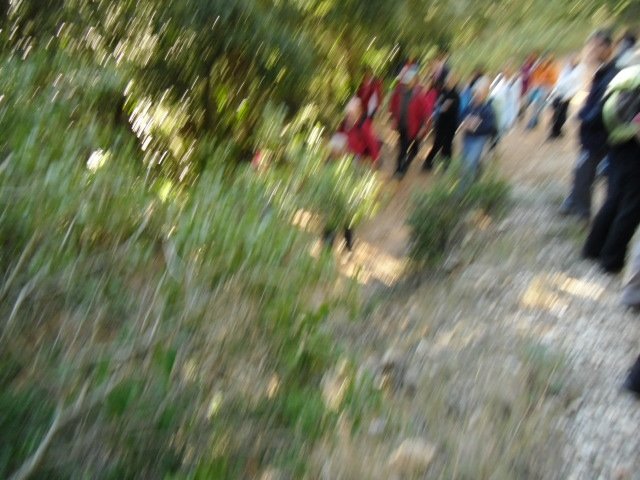 cimg0091.jpg