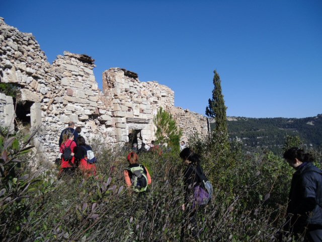 cimg0095.jpg