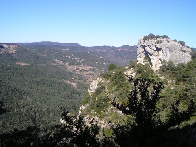 p1010060.jpg