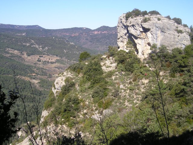 p1010062.jpg