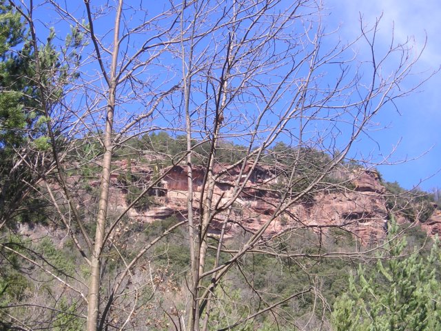 p1010070.jpg