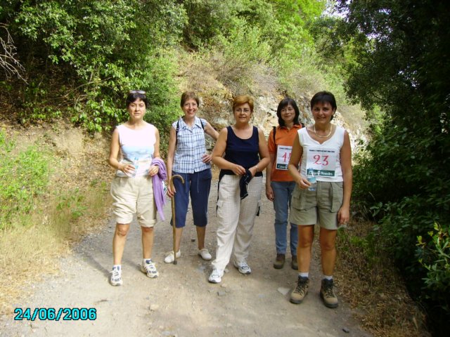 imgp0374.jpg