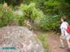 imgp0384_small.jpg