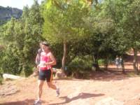 p1010035_small.jpg
