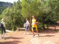 p1010036_small.jpg