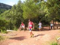 p1010045_small.jpg