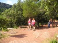 p1010046_small.jpg