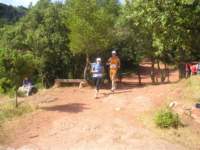 p1010051_small.jpg