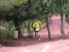 p1010026_small.jpg