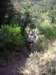 imgp0012_small.jpg