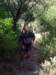 imgp0015_small.jpg