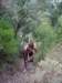 imgp0046_small.jpg