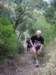 imgp0061_small.jpg