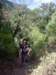 imgp0083_small.jpg