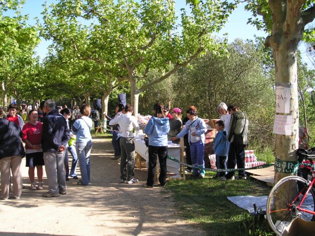 p1010096.jpg
