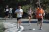 dsc_0378_small.jpg
