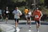 dsc_0379_small.jpg