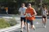 dsc_0381_small.jpg