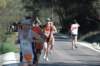 dsc_0411_small.jpg