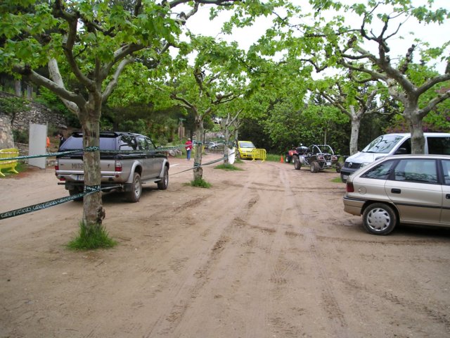 p1010001.jpg