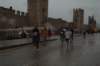 dsc_0208_small.jpg